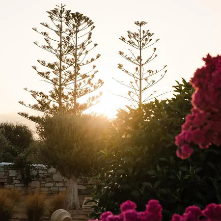 Bed & Breakfast Dunes - Semi Based With Indoor Garden - Part Of White Dunes Luxury Boutique