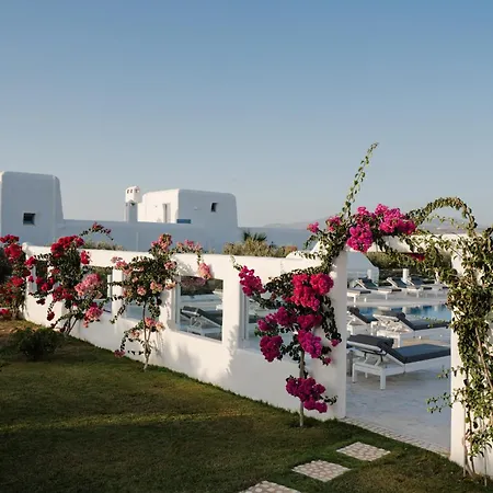Bed & Breakfast Dunes - Semi Based With Indoor Garden - Part Of White Dunes Luxury Boutique 4*