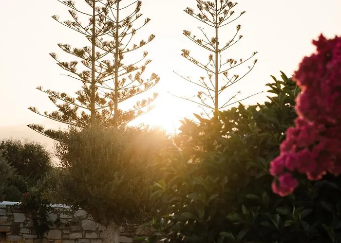 לינה וארוחת בוקר Dunes - Semi Based With Indoor Garden - Part Of White Dunes Luxury Boutique