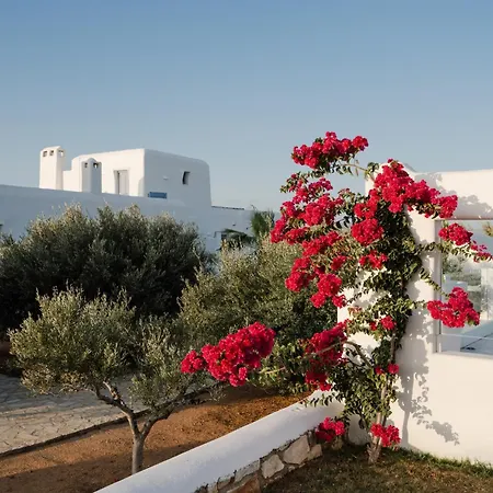 Bed & Breakfast Dunes - Semi Based With Indoor Garden - Part Of White Dunes Luxury Boutique