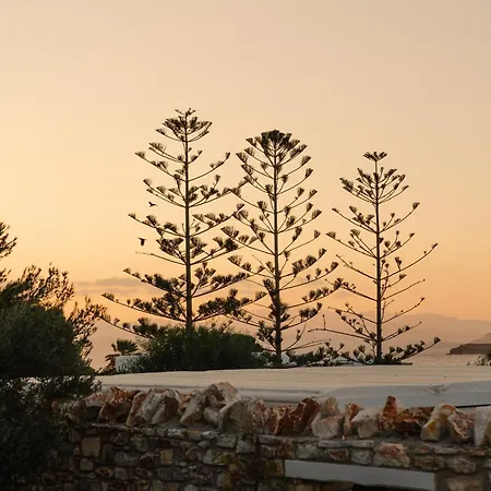 Bed & Breakfast Dunes - Semi Based With Indoor Garden - Part Of White Dunes Luxury Boutique