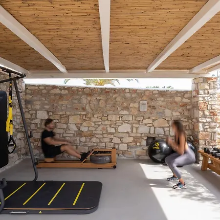 Dunes - Semi Based With Indoor Garden - Part Of White Dunes Luxury Boutique 4* Santa Maria (Paros)