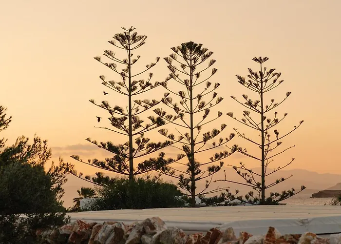 Frühstückspension Dunes - Semi Based With Indoor Garden - Part Of White Dunes Luxury Boutique